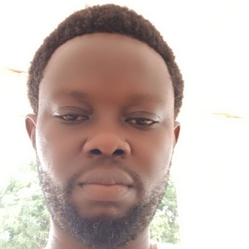 Emmanuel Ndubuisi O.
