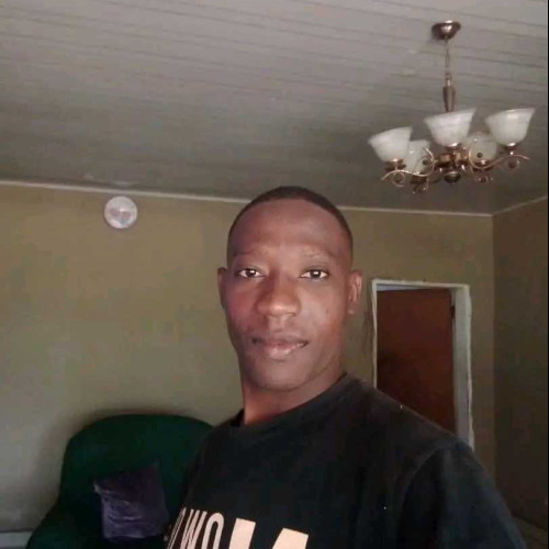 Mike T. profile photo