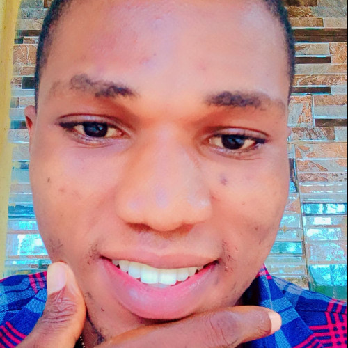 Stainless  O. profile photo