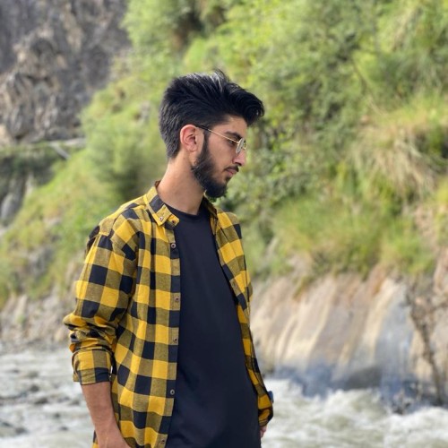 Zia M. profile photo