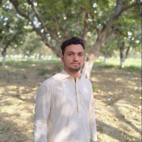 Shahsawar K.