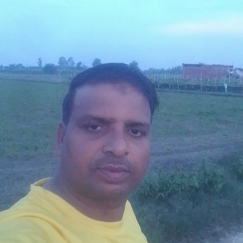 MD Ans M. profile photo