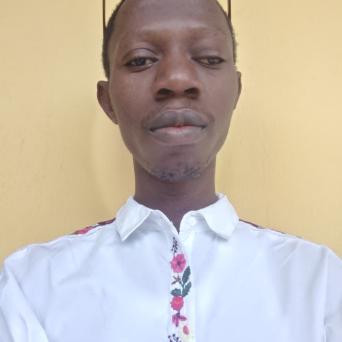 Olawale B. profile photo
