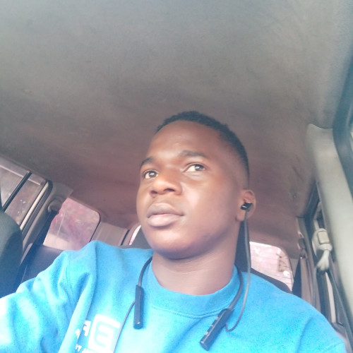 Alex A. profile photo