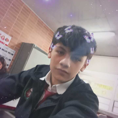 Andres O.
