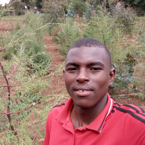 Daniel waiti  R. profile photo