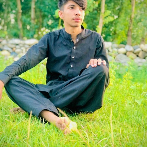 Hasnain  H.