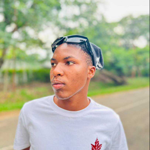 blessus n. profile photo