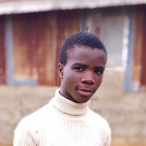 Idowu T. profile photo
