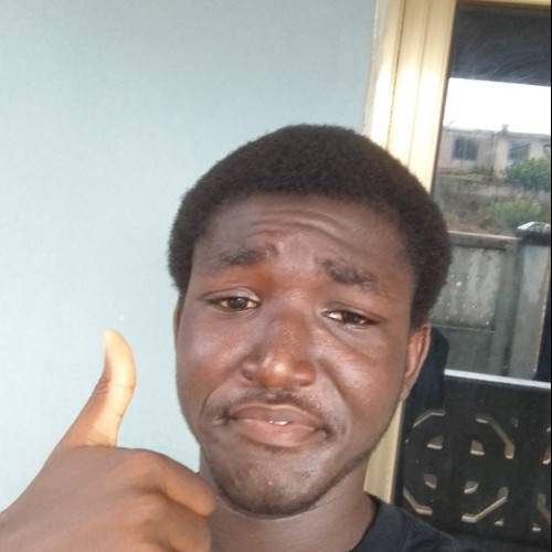 Kelvin K. profile photo
