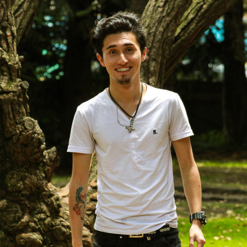 Diego Esteban V.