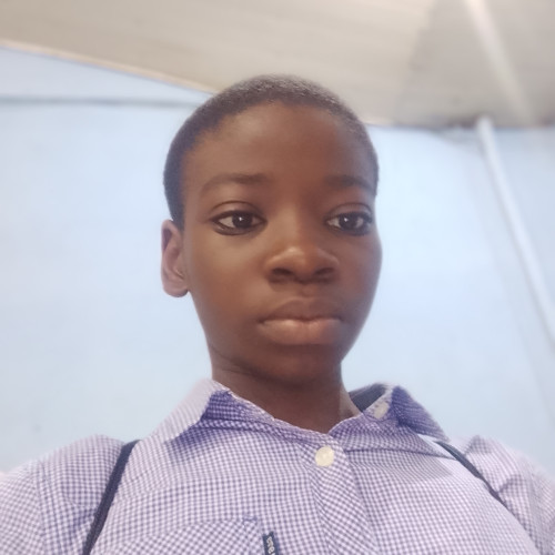 Oladokun I. profile photo