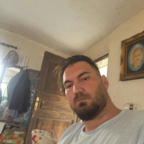 amir r. profile photo