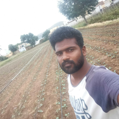 pramod n. profile photo
