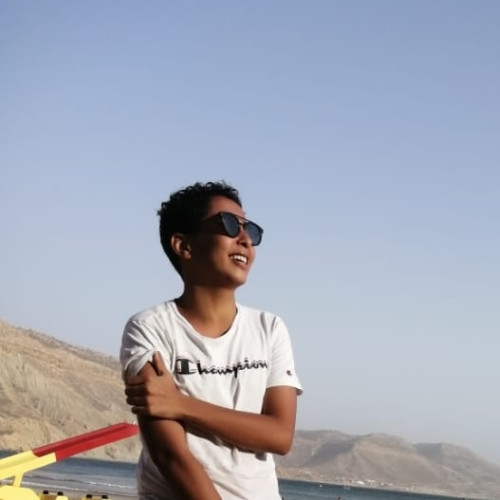 Mehdi R.