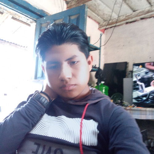 Luis  L. profile photo