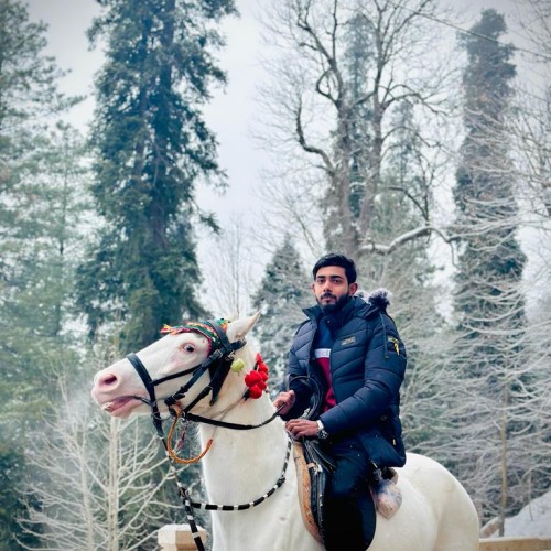 Haseeb N. profile photo