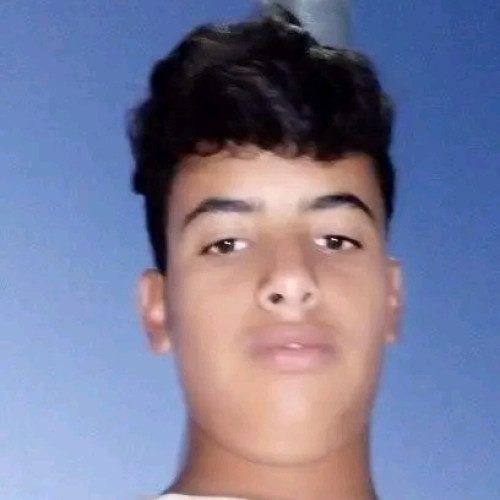 Hamza B. profile photo