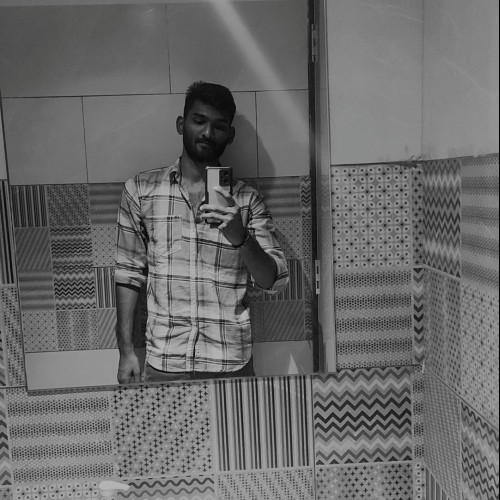 Sai T. profile photo