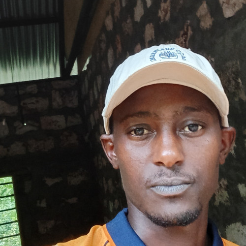 Mohammed M. profile photo