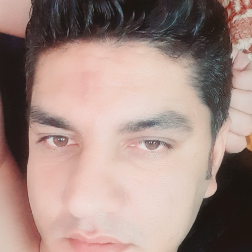 farshad m.