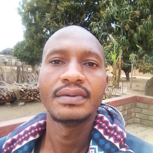 Sammy S. profile photo