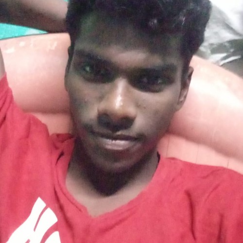 sridhar  s.