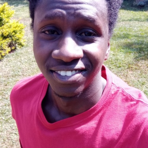 Wilson  N. profile photo