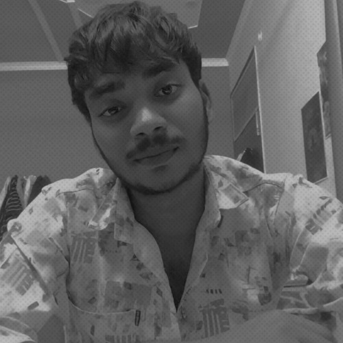 Ansh M. profile photo
