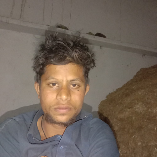 Shahzad k.