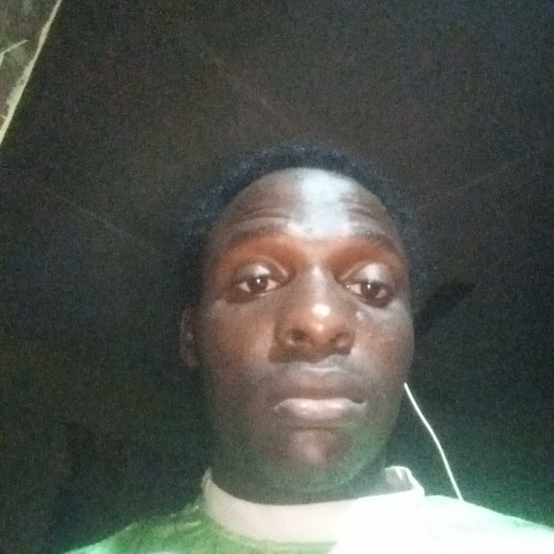 olami l. profile photo