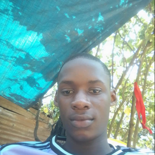 Bashir A. profile photo