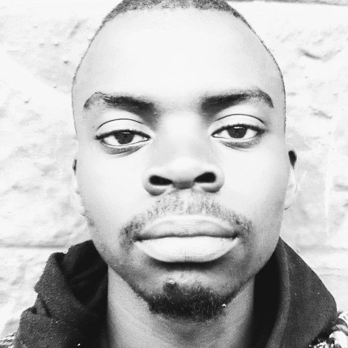 Naishi M. profile photo