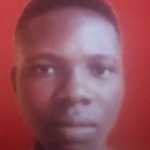 Taiwo E. profile photo