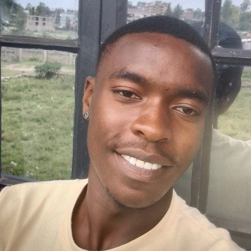 Lewis  N. profile photo