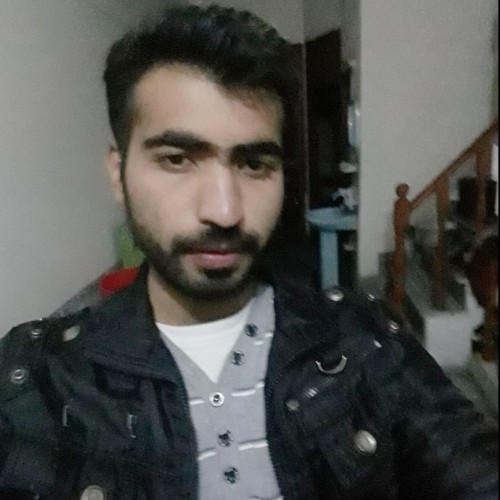 Mubashar A.