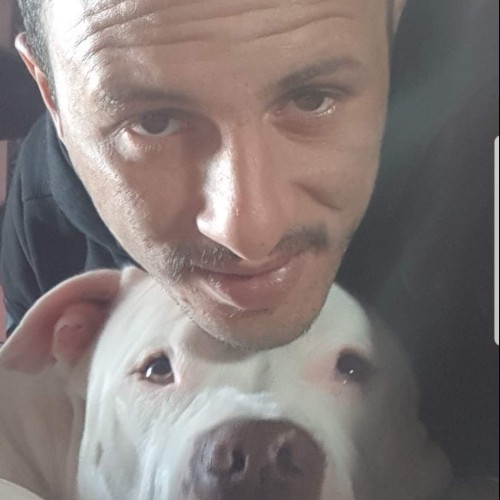 Mohamed F. profile photo