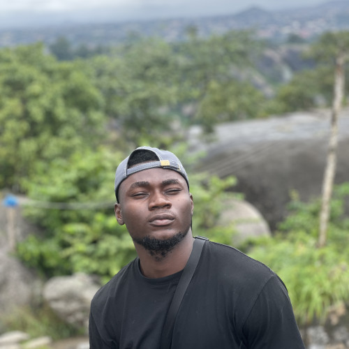 Adebola A. profile photo