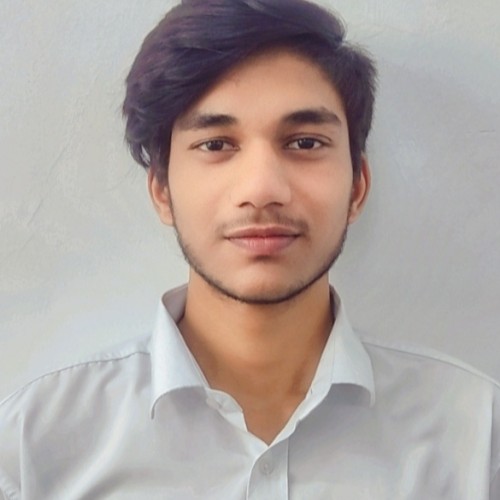 Rajat K.