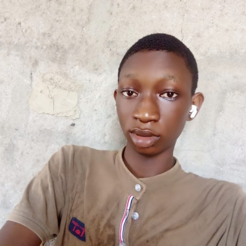 Daniel D. profile photo