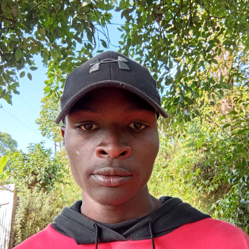 Anold K. profile photo