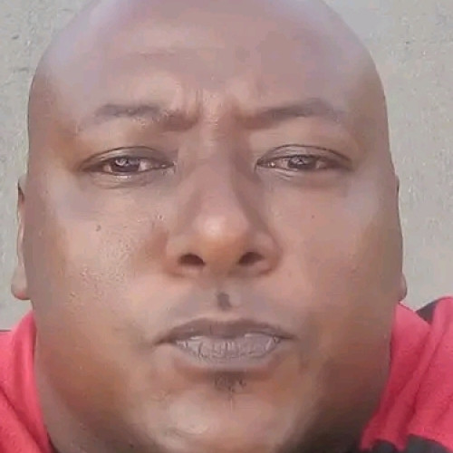 Najib  S. profile photo