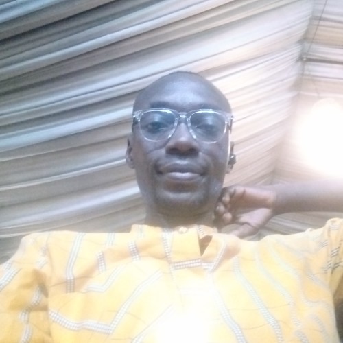 Ayeni T.