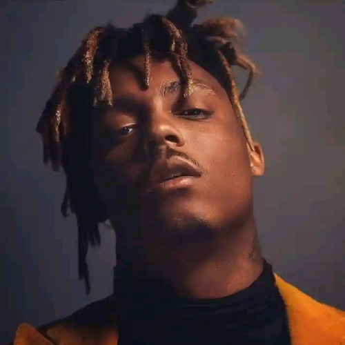 Rex M. profile photo