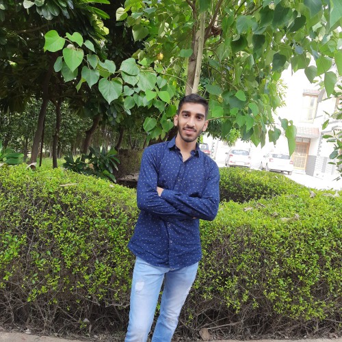 Parshant D.