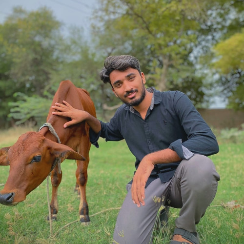 Shabab H. profile photo