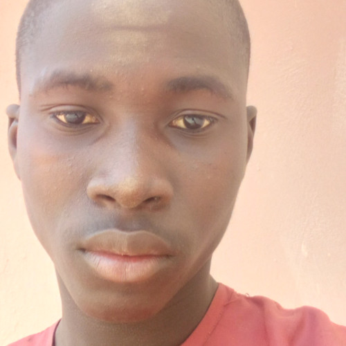 Usman  L. profile photo