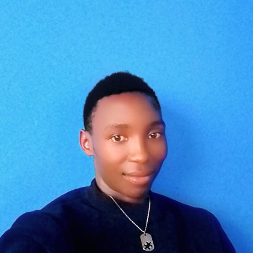 Johnstone  B. profile photo