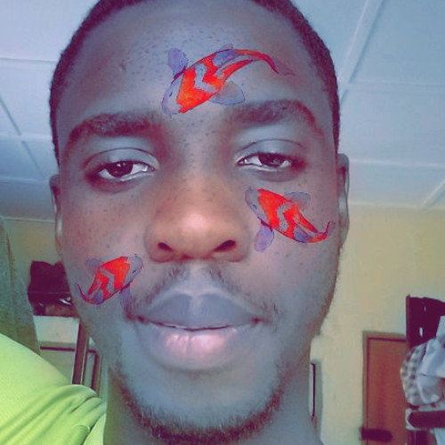 Ngbede  O. profile photo