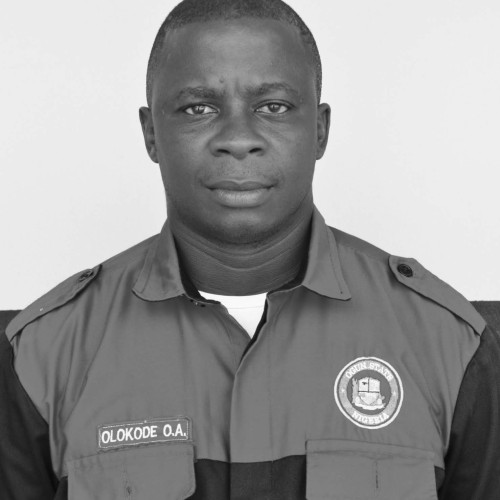 Olawale  O. profile photo